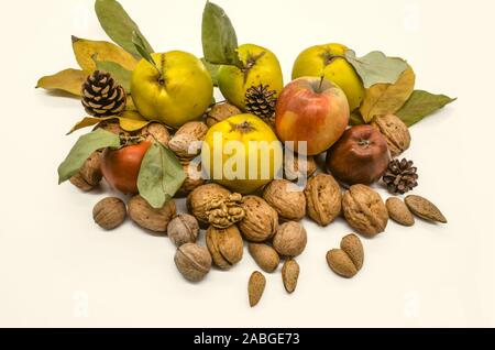 Walnüsse und Mandeln, reife Herbst Äpfel, Quitten, Kaki zwischen Kegel und trockenen vergilbte Blätter Stockfoto