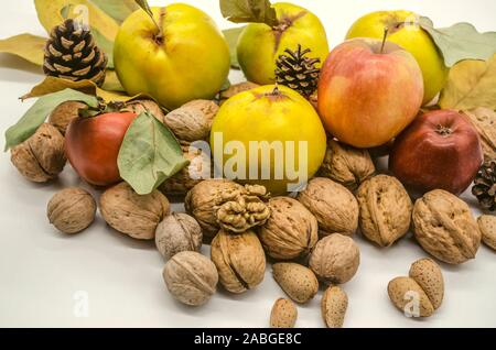Herbst Äpfel mit vergilbten Quitte, Mandeln mit unterschiedlichen Walnüsse, reife rote persimonen zwischen Kegel und trockene Blätter Stockfoto