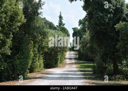 Schmutz der Straße, die zum Meer unter den Bäumen im Park auf der Roten Insel auf der Halbinsel Istrien in Kroatien. Stockfoto