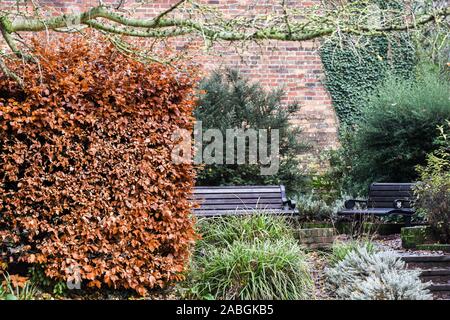 Außenbereich im öffentlichen kommunale Gärten mit Bäumen und Bänken für Sitz Stockfoto