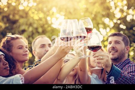 Junge multi-ethnischen Freunde Spaß haben in einem Weinberg Tour - Outdoar Hand Toasten Rotwein vor dem Sonnenuntergang im Herbst während der Erntezeit Stockfoto