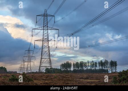 National Grid Masten und Stromleitungen der New Forest Crossing am Hale Purlieu in der Nähe von Berka/Werra, Hampshire, Großbritannien Stockfoto