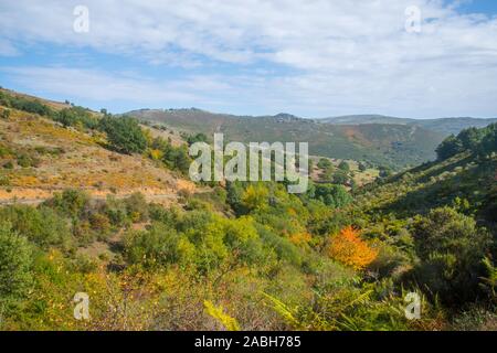 Landschaft. Sierra Norte Nature Reserve, in der Provinz Guadalajara, Kastilien-La Mancha, Spanien. Stockfoto