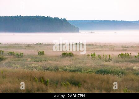 Morgen vor Sonnenaufgang. Am frühen Morgen und nebligen Felder in Belarus. Stockfoto