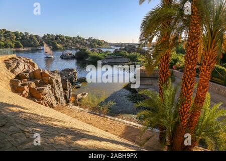 Assuan, botanischen Gärten, Assuan, Ägypten, Afrika Stockfoto