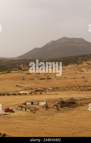 Bauernhof in Kenitra Region. Marokko Stockfoto