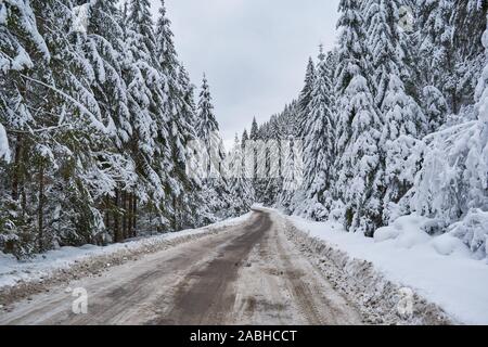 Winter Landschaft, Wald und einer Straße Stockfoto