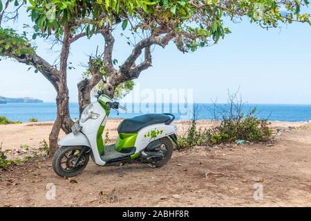 Motorrad in den Schatten eines Baumes geparkt Stockfoto