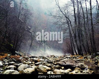 Mystique Nebensaison Wald Stones River. Bergwald mit Steinen. Mountain Road im Wald Wald in den Bergen. Reise durch den Wald Stockfoto
