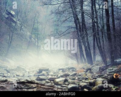 Mystique Nebensaison Wald Stones River. Bergwald mit Steinen. Mountain Road im Wald Wald in den Bergen. Reise durch den Wald Stockfoto
