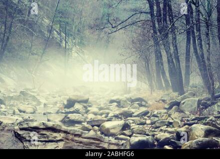 Mystique Nebensaison Wald Stones River. Bergwald mit Steinen. Mountain Road im Wald Wald in den Bergen. Reise durch den Wald Stockfoto