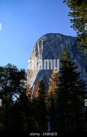El Capitan, auch als "El Cap, eine vertikale Felsformation im Yosemite National Park, Kalifornien, USA bekannt Stockfoto