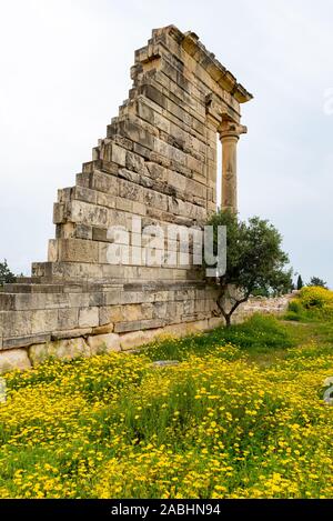 Antiken Säulen von Apollon Hylates, dem Gott der Wälder, Sanctuary in Limassol, Zypern Stockfoto