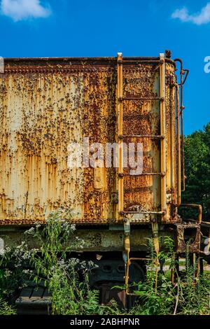 Rostige Leiter auf Boxcar auf Zug in Unkräuter Stockfoto
