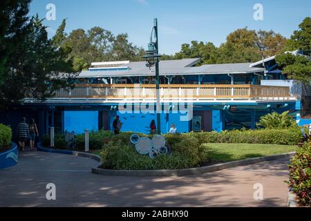 Orlando, Florida. November 22, 2019. Killer whale Unterwasser Anzeigen in Seaworld Stockfoto