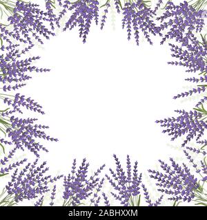 Lavendel Blume design Hintergrund Rahmen. Vector Illustration Stock Vektor