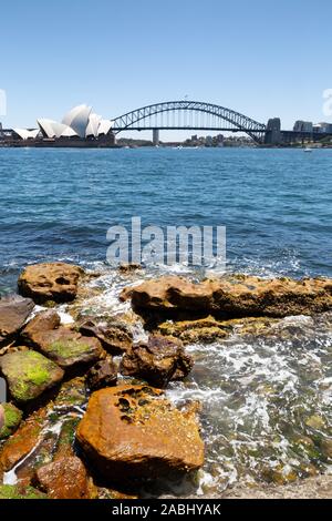 Hafen von Sydney, Sydney Opera House und der Sydney Harbour Bridge, von den Königlichen Botanischen Gärten gesehen, Sydney Australien an einem sonnigen Frühlingstag im November Stockfoto