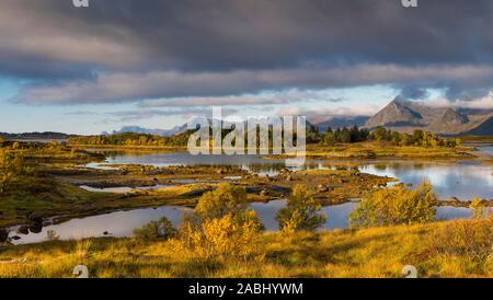 Herbst Landschaft, Fjord mit Bergen im Hintergrund, in der Nähe von Leknes, Lofoten, Norwegen Stockfoto