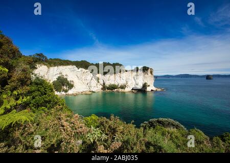 Die schöne Küste rund um Weg zur Cathedral Cove auf der Coromandel Halbinsel, Neuseeland Stockfoto