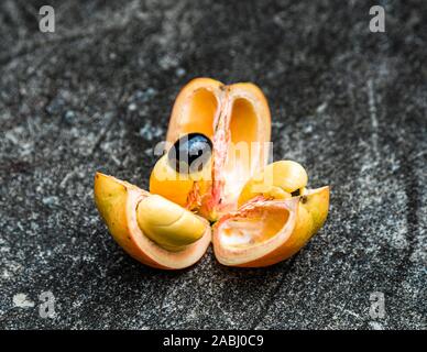 Ackee-Frucht in Grenada Stockfoto