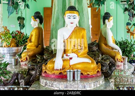 Die Mwe Paya Schlange Pagode, Dalah, in der Nähe von Yangon, Myanmar. Stockfoto