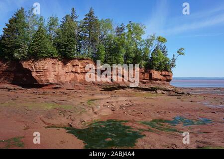 Die Bucht von Fundy bei Ebbe an Burntcoat Kopf Park in Nova Scotia, Kanada Stockfoto