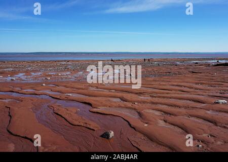 Ocean Floor wie bei Ebbe in der Bucht von Fundy Nova Scotia, Kanada gesehen Stockfoto