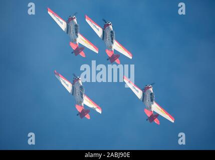 MONROE, NC (USA) - 9 November, 2019: Vier aerobatic Flugzeug fliegen in engen Formation, während sie bei den Warbirds über Monroe Air Show. Stockfoto