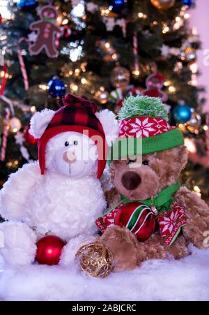 Ein paar niedlichen Teddybären, sind warm in adorable winter Hüte, und saßen am Weihnachtsbaum Stockfoto