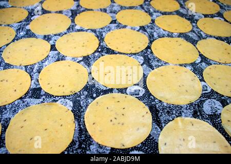 Khichiya papdi papad Reismehl Cracker oder Papadom trocknen in der Sonne (Chawal ke papad) Stockfoto