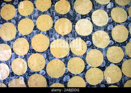 Khichiya papdi papad Reismehl Cracker oder Papadom trocknen in der Sonne (Chawal ke papad) Stockfoto