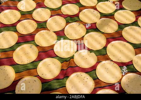 Khichiya papdi papad Reismehl Cracker oder Papadom trocknen in der Sonne (Chawal ke papad) Stockfoto