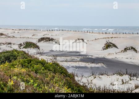 Den Atlantischen Ozean entlang der Strände und Sanddünen von Assateague Island National Seashore, Maryland, USA. Stockfoto