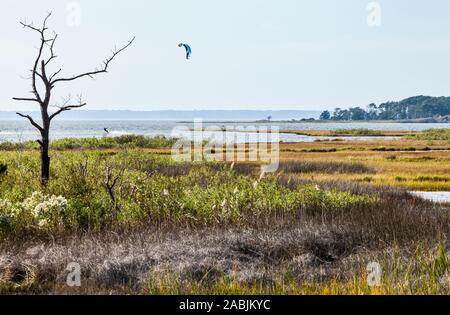 Kite Boarding in Sinepuxent Bay vor Assateague Island National Seashore/Insel, Maryland, USA Stockfoto