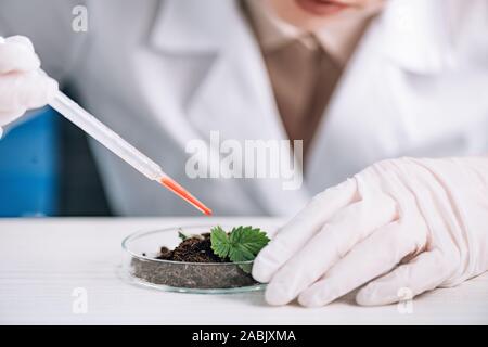 7/8-Ansicht der Biochemiker holding Pipette in der Nähe der grünen Pflanze Stockfoto