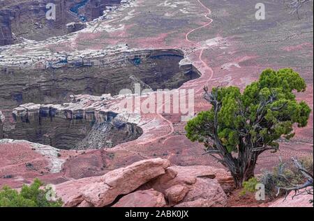 Gran View Point, Canyonlands National Park, Utah, USA. Atemberaubende Schluchten, Tafelberge und Kuppen, die von den Colorado, Grün und Nebenflüssen erodiert Stockfoto