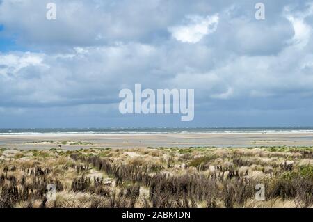 Dünen mit marram Gras auf der Insel Borkum, Niedersachsen, Deutschland. Die Zäune von Willow Zweige sind Dünen von Wasser und Wind zu schützen. Stockfoto