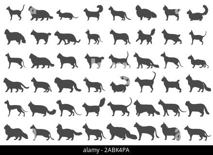 Katzenrassen Icon Set Flat Style isoliert auf Weiss. Cartoon Silhouetten Katzen Figuren Sammlung. Vector Illustration Stock Vektor