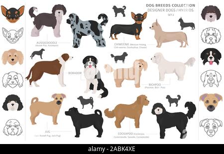 Designer Hunde, Enrage, hybrid mix Hündchen Sammlung isoliert auf Weiss. Flat Style cliparts Hund gesetzt. Vector Illustration Stock Vektor