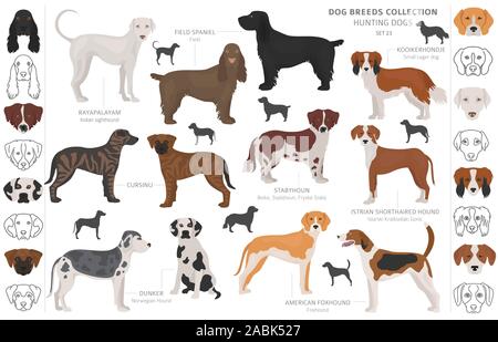 Jagdhunde Sammlung auf weißem Clipart isoliert. Flat Style. Andere Farbe, Porträts und Silhouetten. Vector Illustration Stock Vektor