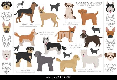 Designer Hunde, Enrage, hybrid mix Hündchen Sammlung isoliert auf Weiss. Flat Style cliparts Hund gesetzt. Vector Illustration Stock Vektor