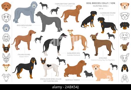 Jagdhunde Sammlung auf weißem Clipart isoliert. Flat Style. Andere Farbe, Porträts und Silhouetten. Vector Illustration Stock Vektor