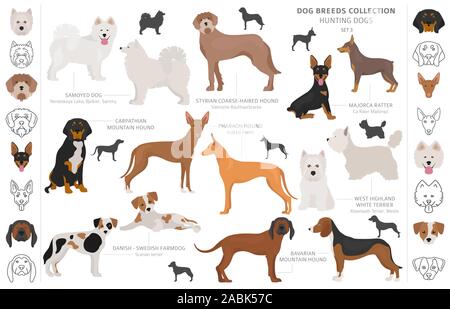 Jagdhunde Sammlung auf weißem Clipart isoliert. Flat Style. Andere Farbe, Porträts und Silhouetten. Vector Illustration Stock Vektor