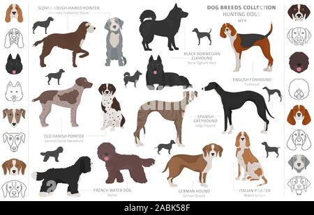 Jagdhunde Sammlung auf weißem Clipart isoliert. Flat Style. Andere Farbe, Porträts und Silhouetten. Vector Illustration Stock Vektor