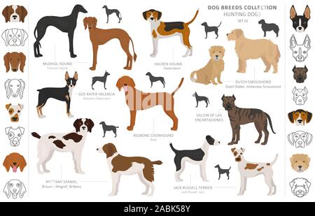 Jagdhunde Sammlung auf weißem Clipart isoliert. Flat Style. Andere Farbe, Porträts und Silhouetten. Vector Illustration Stock Vektor