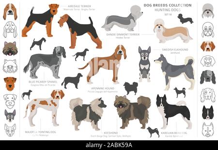 Jagdhunde Sammlung auf weißem Clipart isoliert. Flat Style. Andere Farbe, Porträts und Silhouetten. Vector Illustration Stock Vektor