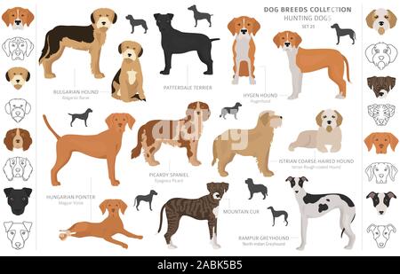 Jagdhunde Sammlung auf weißem Clipart isoliert. Flat Style. Andere Farbe, Porträts und Silhouetten. Vector Illustration Stock Vektor