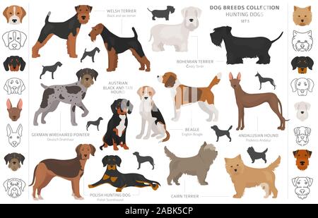 Jagdhunde Sammlung auf weißem Clipart isoliert. Flat Style. Andere Farbe, Porträts und Silhouetten. Vector Illustration Stock Vektor