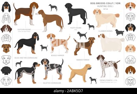 Jagdhunde Sammlung auf weißem Clipart isoliert. Flat Style. Andere Farbe, Porträts und Silhouetten. Vector Illustration Stock Vektor