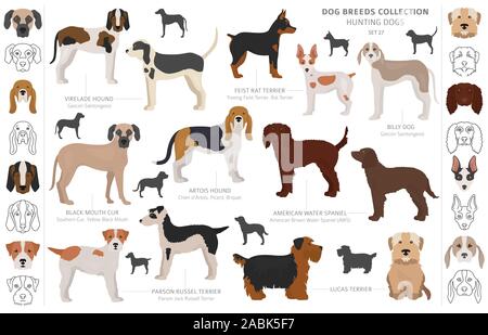 Jagdhunde Sammlung auf weißem Clipart isoliert. Flat Style. Andere Farbe, Porträts und Silhouetten. Vector Illustration Stock Vektor